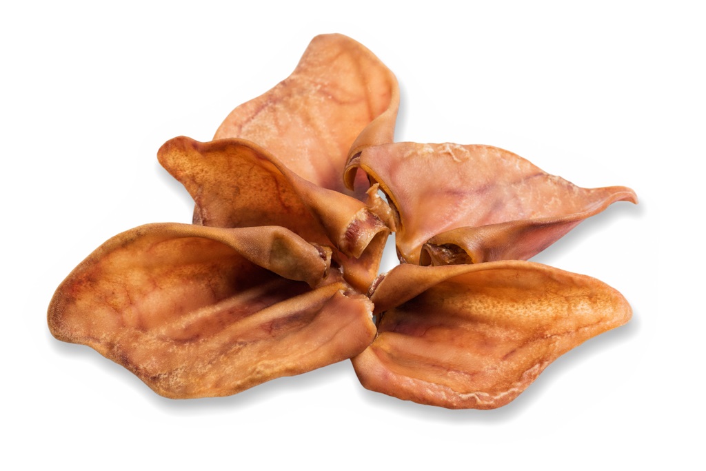 PIG EAR