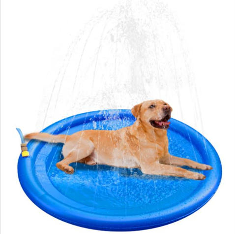 Dog Splash Pad